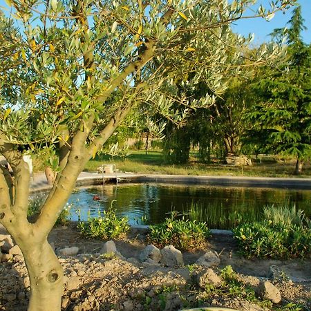 Le Mas Du Caprier Charleval  Buitenkant foto