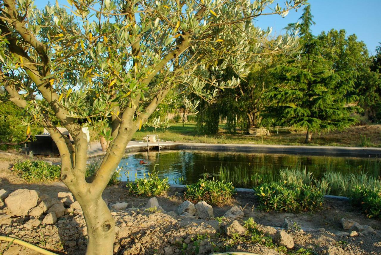Le Mas Du Caprier Charleval  Buitenkant foto